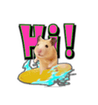 HamPacino（ハムパチーノ） 3（個別スタンプ：5）