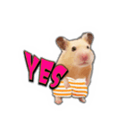 HamPacino（ハムパチーノ） 3（個別スタンプ：10）
