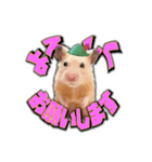 HamPacino（ハムパチーノ） 3（個別スタンプ：13）