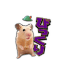 HamPacino（ハムパチーノ） 3（個別スタンプ：15）