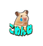 HamPacino（ハムパチーノ） 3（個別スタンプ：16）