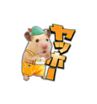 HamPacino（ハムパチーノ） 3（個別スタンプ：17）