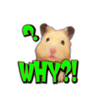 HamPacino（ハムパチーノ） 3（個別スタンプ：22）