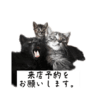 QUEUE予約用スタンプ（個別スタンプ：3）