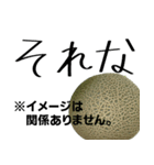 メロンの気持ち（モリタ農園公式）（個別スタンプ：13）