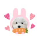 白いもこもこ犬ぺぺまるスタンプ（個別スタンプ：35）