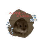 ブルーサファイアのおこめちゃん（個別スタンプ：3）