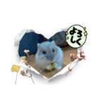 ブルーサファイアのおこめちゃん（個別スタンプ：8）
