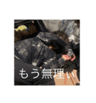 別段需要のないスタンプ（個別スタンプ：24）