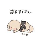にゃんちゃんとポポ（個別スタンプ：40）