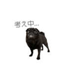 ペグちん（個別スタンプ：19）