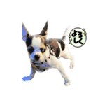 なつ丸まで（個別スタンプ：9）