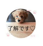 あきリリのスタンプ（個別スタンプ：6）