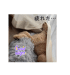 あきリリのスタンプ（個別スタンプ：25）