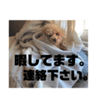 あきリリのスタンプ（個別スタンプ：29）