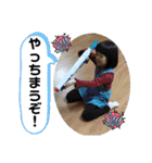 あきリリのスタンプ（個別スタンプ：37）