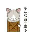 【心の声】仔猫のぽんにゃん【吐き出そう】（個別スタンプ：4）