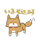 柴犬たろちゃん 1（個別スタンプ：6）