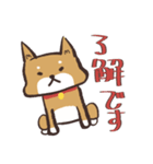 柴犬たろちゃん 1（個別スタンプ：7）