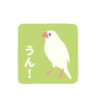 やさしい文鳥スタンプ2（個別スタンプ：3）