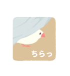 やさしい文鳥スタンプ2（個別スタンプ：14）