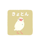 やさしい文鳥スタンプ2（個別スタンプ：15）