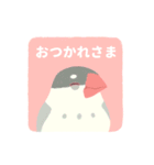 やさしい文鳥スタンプ2（個別スタンプ：16）