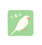 やさしい文鳥スタンプ2（個別スタンプ：20）