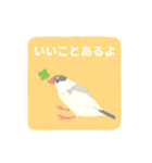 やさしい文鳥スタンプ2（個別スタンプ：31）