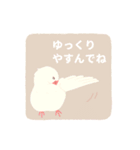 やさしい文鳥スタンプ2（個別スタンプ：33）