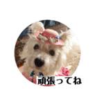 可愛いcoco、こと（個別スタンプ：2）