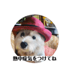 可愛いcoco、こと（個別スタンプ：4）