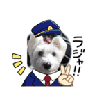 可愛いcoco、こと（個別スタンプ：6）