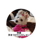可愛いcoco、こと（個別スタンプ：8）