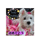 可愛いcoco、こと（個別スタンプ：11）
