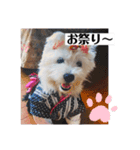 可愛いcoco、こと（個別スタンプ：12）