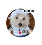 可愛いcoco、こと（個別スタンプ：14）