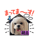 可愛いcoco、こと（個別スタンプ：16）