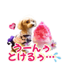 トイプーティナちゃん15夏バージョン（個別スタンプ：8）