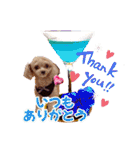 トイプーティナちゃん15夏バージョン（個別スタンプ：35）