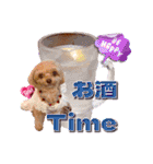 トイプーティナちゃん15夏バージョン（個別スタンプ：37）