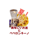トイプーティナちゃん15夏バージョン（個別スタンプ：38）