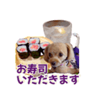 トイプーティナちゃん15夏バージョン（個別スタンプ：39）