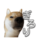 キングトロイ（個別スタンプ：14）