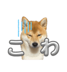 キングトロイ（個別スタンプ：16）