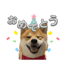 キングトロイ（個別スタンプ：27）