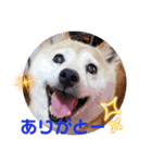 みんなと一緒 25（個別スタンプ：3）