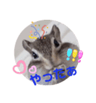 みんなと一緒 25（個別スタンプ：7）