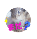 みんなと一緒 25（個別スタンプ：8）