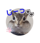 みんなと一緒 25（個別スタンプ：9）